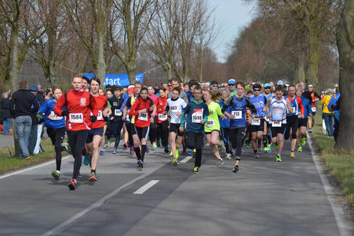 http://www.ostsee-zeitung.de/Vorpommern/Suedvorpommern/Sport/315-Starter-bei-Haffmarathon